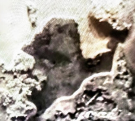 image A1