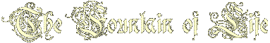 page title